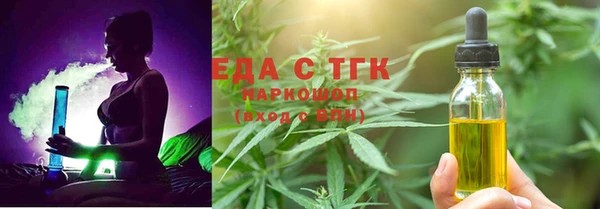 хмурый Алзамай