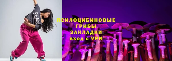 хмурый Алзамай