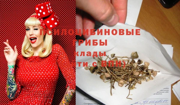 ГАЛЛЮЦИНОГЕННЫЕ ГРИБЫ Елабуга