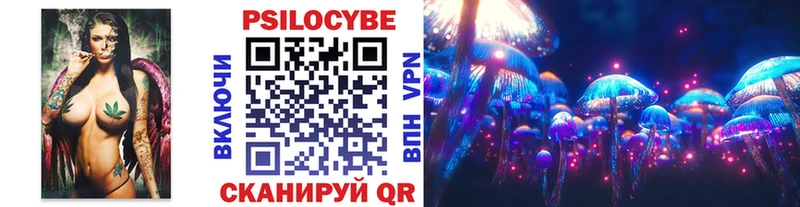 купить наркотики сайты  Закаменск  сайты даркнета официальный сайт  Галлюциногенные грибы GOLDEN TEACHER 