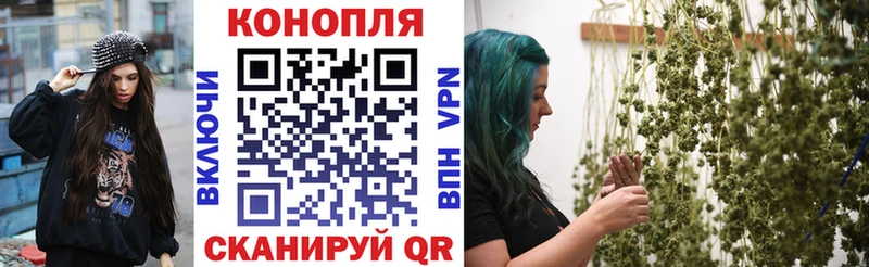 купить наркотики сайты  Закаменск  Шишки марихуана тримм 